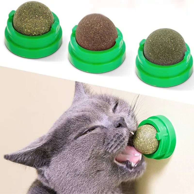 Brinquedo Para Gato Natural de Catnip